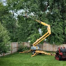 Best Commercial Tree Services  in Mulgee, OK